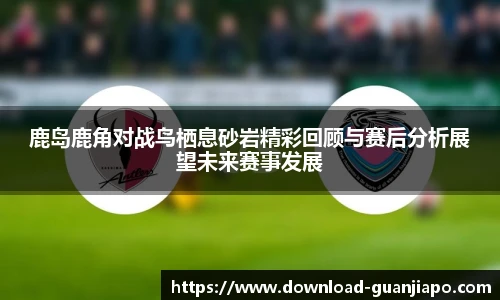 鹿岛鹿角对战鸟栖息砂岩精彩回顾与赛后分析展望未来赛事发展